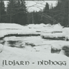 Ildjarn-Nidhogg album cover