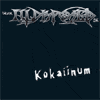 Kokaiinum album cover