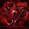 Reborn In Chaos album cover