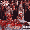 Butchered At Birth album cover