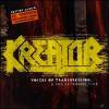 Voices Of Transgression - A 90's Retrospective album cover