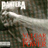 Vulgar Display of Power album cover