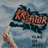 Flag Of Hate album cover