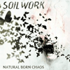Natural Born Chaos album cover